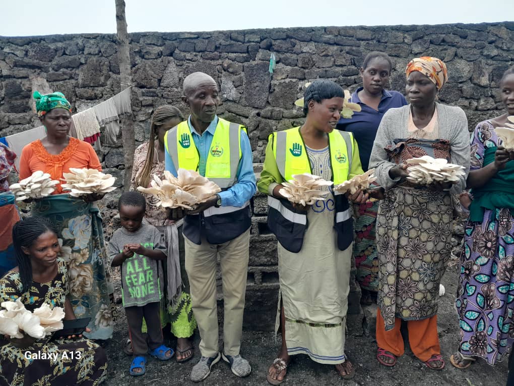 Renforcement des moyens de subsistance des communaut&eacute;s d'accueil et des familles d&eacute;plac&eacute;es en province de Nord-Kivu et de l'ituri